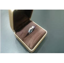 プラチナ900 指輪 メレダイヤ付き